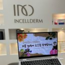 인셀덤동탄 | 동탄 인셀덤 연화, 무료 체험 후기