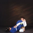 타이거 주짓수 이미지