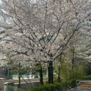 퍼멘트베이커리 | 상왕십리역 빵집 상왕십리 바게트 건강빵 맛집 퍼멘트베이커리 내돈내산 주말 방문후기