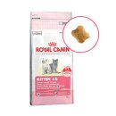 로얄크린 이미지