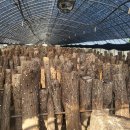 조남규농장 이미지