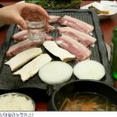 반주 노컷뉴스