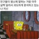 주섬주섬 네이버블로그