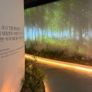 추동육교 | 대청호 명상정원, 자연생태관 미디어아트 / 대전 드라이브 명소 추천, 대전 데이트코스