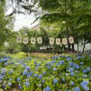 제천시민공원 이미지