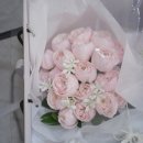 부케독산