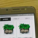 다드림스토어