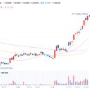 제이와이피 이미지