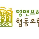 영앤프레시협동조합 이미지