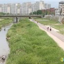 공지천 공중화장실 이미지