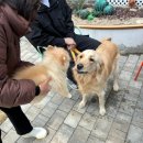 리베르테 | 안산 대부도 베이커리 카페 현지인 맛집 리베르테 재방문후기