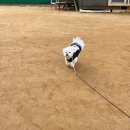 별하나유치원 이미지