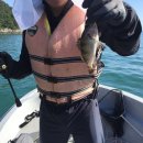 통영펜션하늘채 이미지