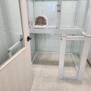 마마펫살롱 이미지