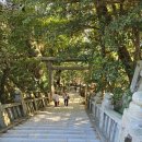 전망대길 10 | [다카마쓰] 11월, 가을의 코토히라궁 탐방기, 주차꿀팁