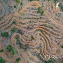 우림농장(제2농장) 이미지