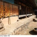 마을정자 옆 이미지