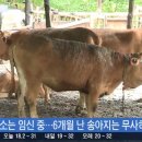 소축사 이미지