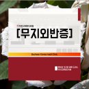 부천고려마디의원 이미지