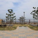 명파 해변 오토캠핑장