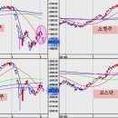 (주)쥬라기 티스토리