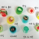파파트리