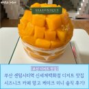 대한건강백화점 | 부산 센텀시티역 신세계백화점 디저트 맛집 시즈니크 카페 망고 케이크 미니 솔직 후기!