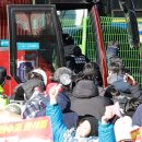 우두머리 이미지