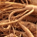 주식회사 크린바이오 이미지