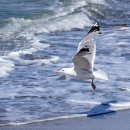 미래환경개발 이미지