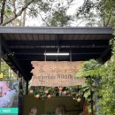 작은동물원 | 호주 시드니 페더데일 동물원 캥거루, 코알라, 쿼카 보러 다녀온 후기