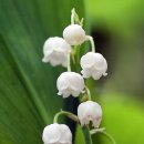 (주)참좋은행복 이미지