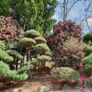 금곡가든 이미지