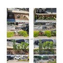 보수새마을 이미지