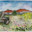 일상을 기록하는 수채 펜드로잉 이미지