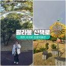 신효동-12 | 제주 러닝 코스, 월라봉 감귤박물관 산책로 오운완