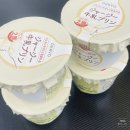 코리아세븐 대구평리롯데캐슬점 | 세븐일레븐 오하요 저지우유푸딩 쟈지푸딩 대구 구매방법 후기