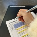 부띠끄호텔 빌라드애월 | 애월 탑스텐빌라드 호텔 ㅣ 애월 가성비 숙소 내돈내산 추천 ㅣ 요트체험 무료