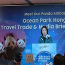 롯데워터파크길L 이미지