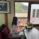 포천해피플라워 | 포천여행 허브아일랜드 포토존 천국, 불빛동화축제 야경 추천