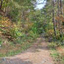 남교선녀마을 이미지