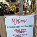 풍악농장 이미지