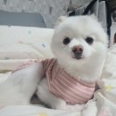 오랜만이유(HBD&amp;SEOUL)