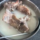 화성대박식당 | [제주 삼양 맛집] 영업시간 단 3시간?! 접짝뼈국 찐맛집 '화성식당' 솔직 후기 (웨이팅/마감시간)