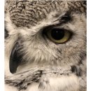 연필드로잉 소묘 이미지