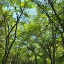 가좌리 석조약사여래좌상 | 창녕 여행, 소원 한 가지는 꼭 이루어진다는 관룡사 | 천년고찰에서 만난 힐링 여행