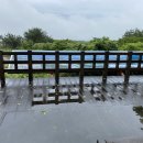 솔오름전망대 이미지