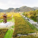 산소카폐 청송정원 (2) 데일리한국