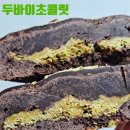 얼바운더리 이미지
