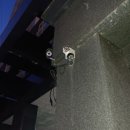 금강컴퍼니 이미지